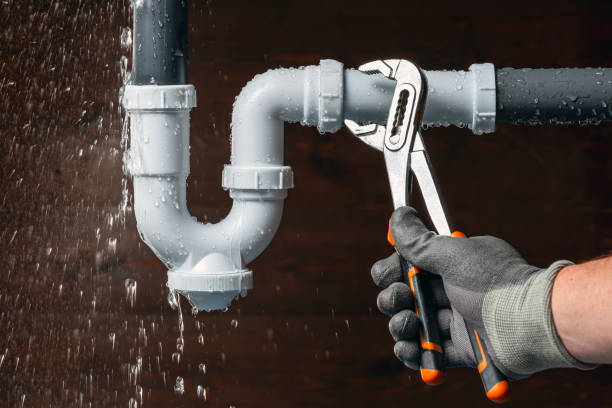 Professional Plumbing technician working in Bluff Springs, IL